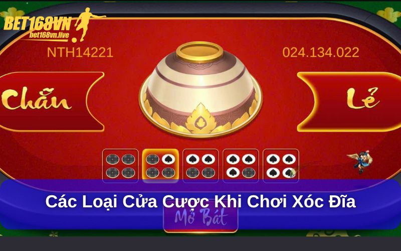 Các loại cửa cược khi chơi xóc đĩa