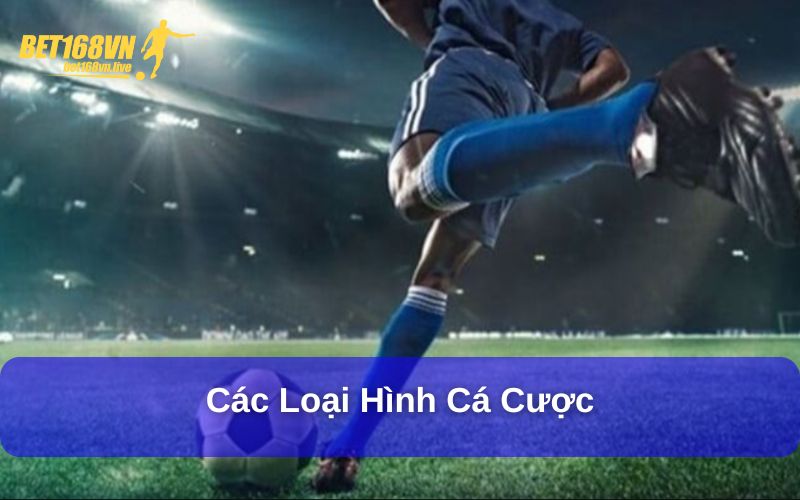 Hướng Dẫn Chọn Nhà Cái Cá Cược Thể Thao An Toàn Các loại hình cá cược