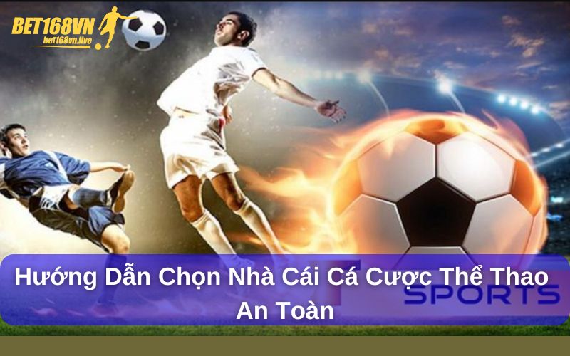 Hướng Dẫn Chọn Nhà Cái Cá Cược Thể Thao An Toàn Nhà cái cá cược thể thao