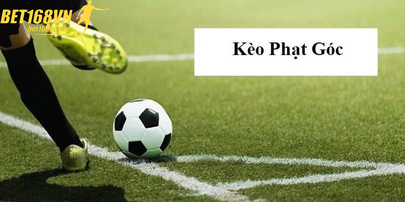 Kinh Nghiệm Chơi Kèo Phạt Góc Từ Cao Thủ Cá Cược Chia Sẻ Tỷ lệ kèo phạt góc minh bạch, cập nhật liên tục trong trận đấu